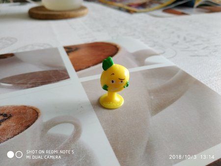 IMG_20181003_131410.jpg