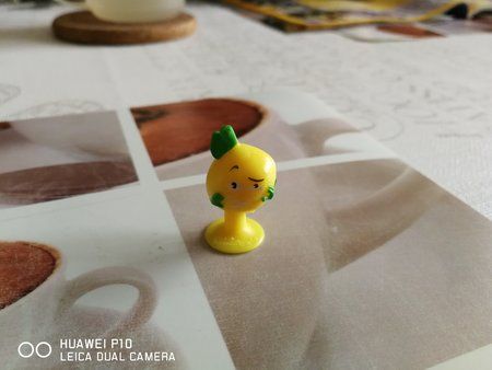 IMG_20181003_131155.jpg