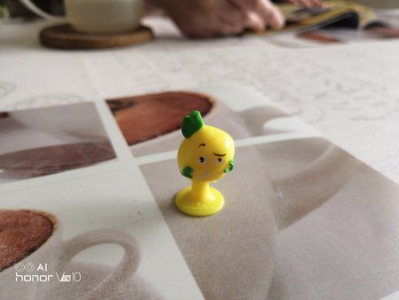 IMG_20181003_131256.jpg