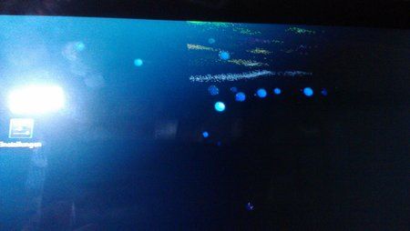 IMAG0156.jpg