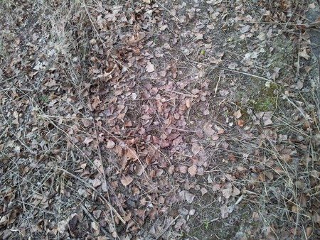 20120302_143229 Kopie.jpg