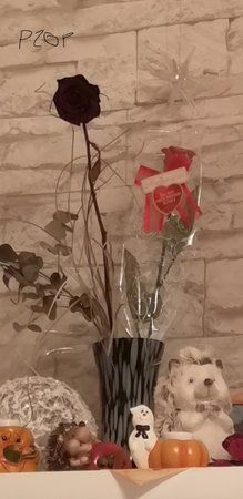 20181005_095225.jpg