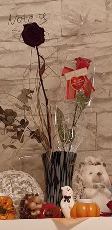 20181005_095240.jpg