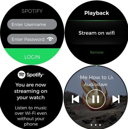 watch spotify.jpg
