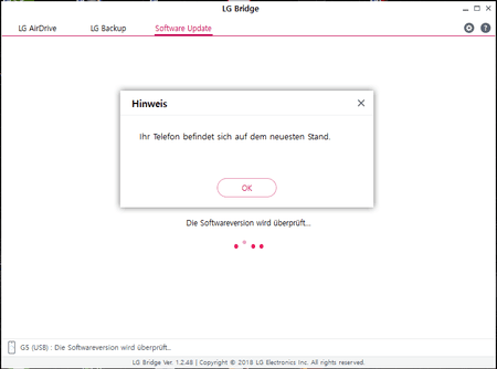 lgbridge.PNG