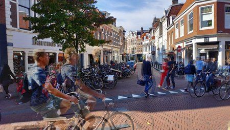 IMG_20181006_144158.jpg