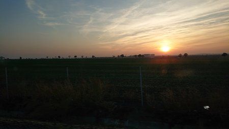 DSC_0232.JPG