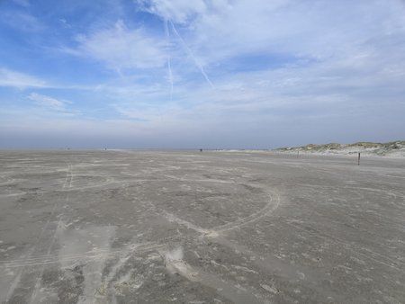 IMG_20181009_141403.jpg