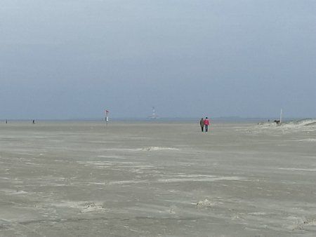 IMG_20181009_141356.jpg