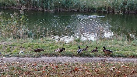 DSC_0280.JPG