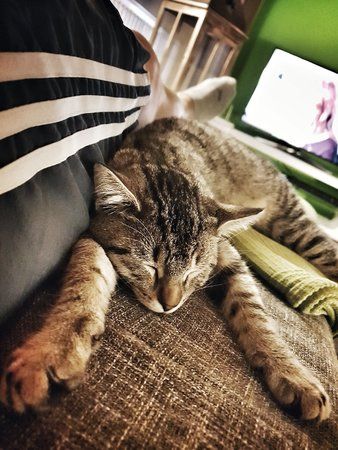 20181003_203318-01.jpeg