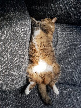 20180826_152547.jpg