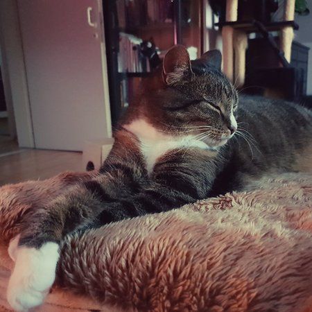 20180824_175805.jpg