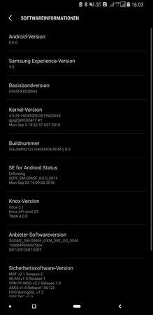 Screenshot_20181010-160322_Settings.jpg