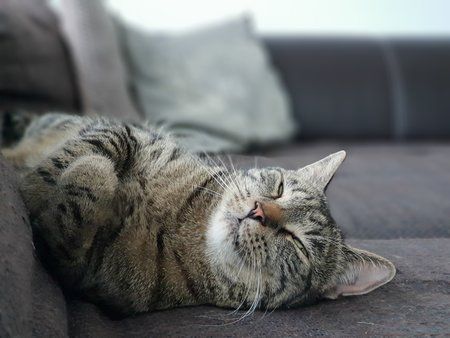 20180520_171653.jpg