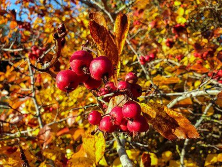 20181010_163540-1.jpg