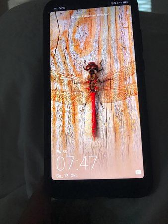 IMG-20181013-WA0000.jpg