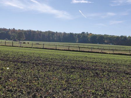 IMG_20181013_121301.jpg