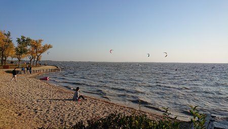 DSC_0447.JPG