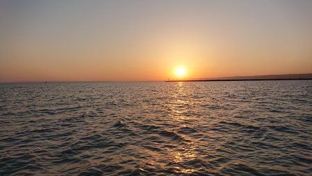 DSC_0523.JPG