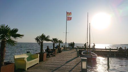 DSC_0460.JPG