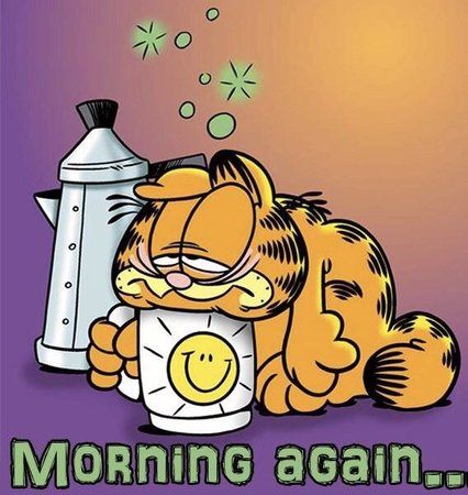 Morning_1523938931761.jpg