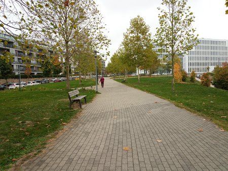 IMG_20181018_102706_9.jpg