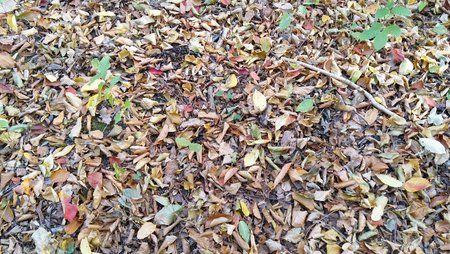 IMG_20181020_143821.jpg