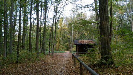 IMG_20181020_143703.jpg