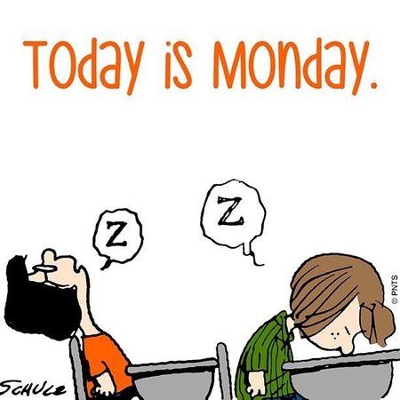 Monday_1527468293420.jpg