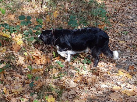 20181022_131506.jpg