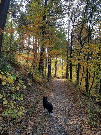 20181022_130707.jpg