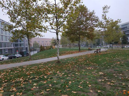 IMG_20181022_102606.jpg
