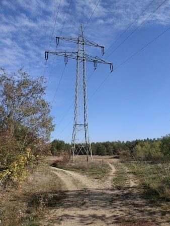 IMG_20181022_132635.jpg