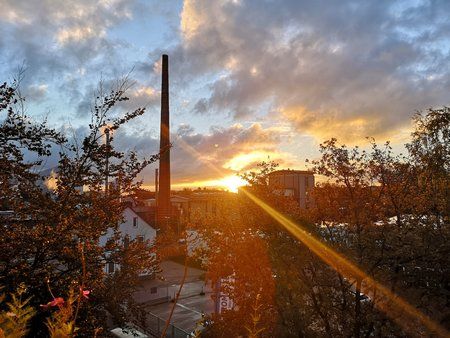 IMG_20181027_082530.jpg