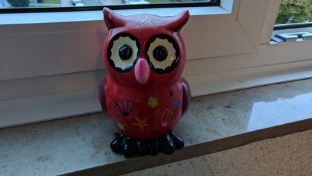 IMG_20181028_073108.jpg