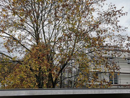 IMG_20181028_131748.jpg