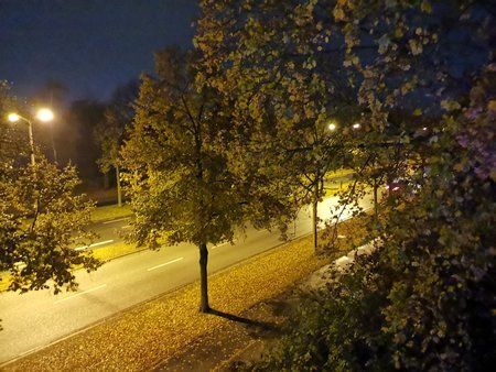 IMG_20181027_203352.jpg
