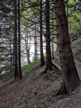 IMG_20181030_112533.jpg
