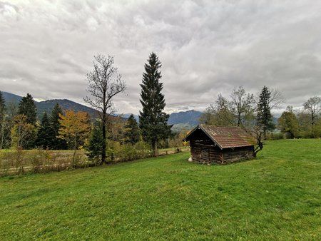 IMG_20181030_110354.jpg