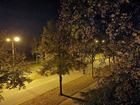IMG_20181030_203256.jpg