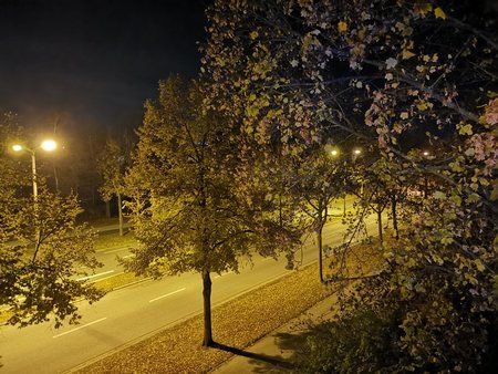 IMG_20181030_203310.jpg
