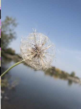 20181008_130446.jpg