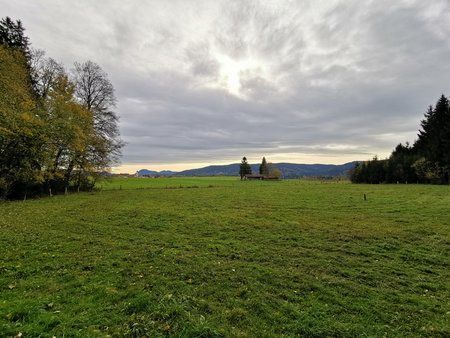IMG_20181031_110349.jpg