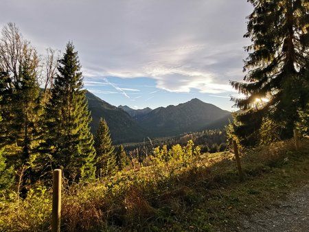 IMG_20181031_160536.jpg