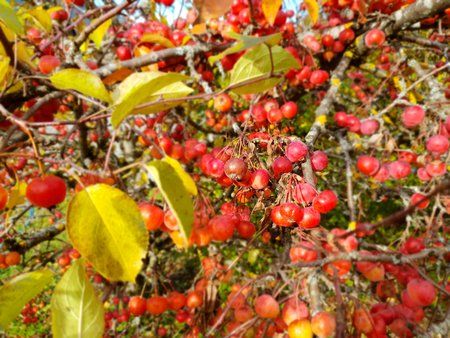 20181101_115428.jpg
