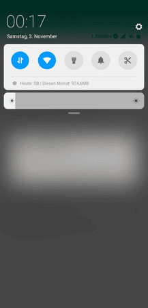Screenshot_2018-11-03-00-17-15-413_com.topjohnwu.magisk.png