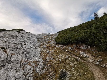 IMG_20181103_150137.jpg