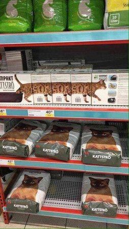 katzenfutter.jpg