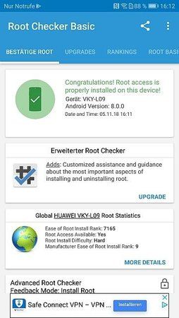 root.jpg